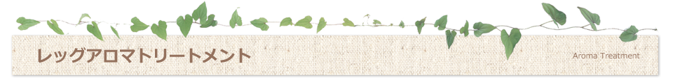 レッグアロマトリートメント