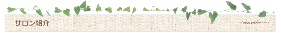 サロン紹介